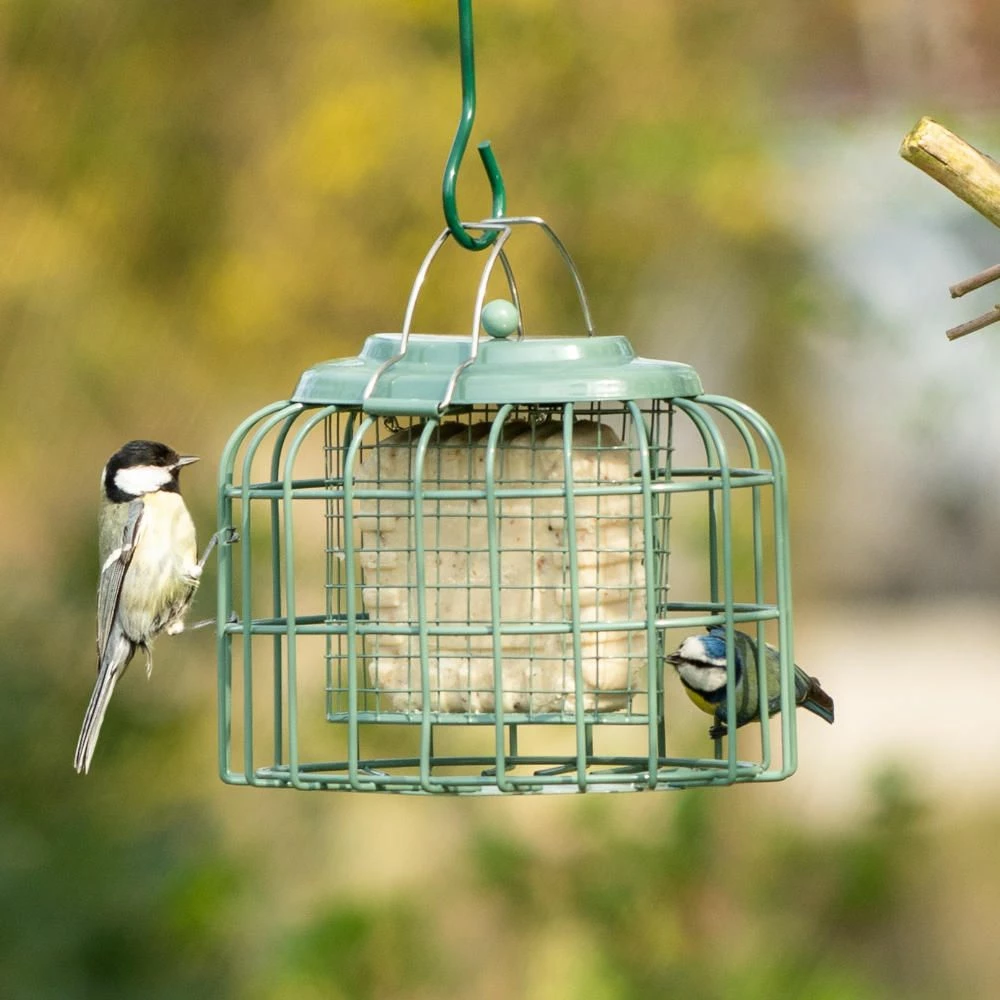 Energieblock- Und Meisenknödel-Halter „Oval“ 3 Energieblock- Und Meisenknödel-Halter „Oval“