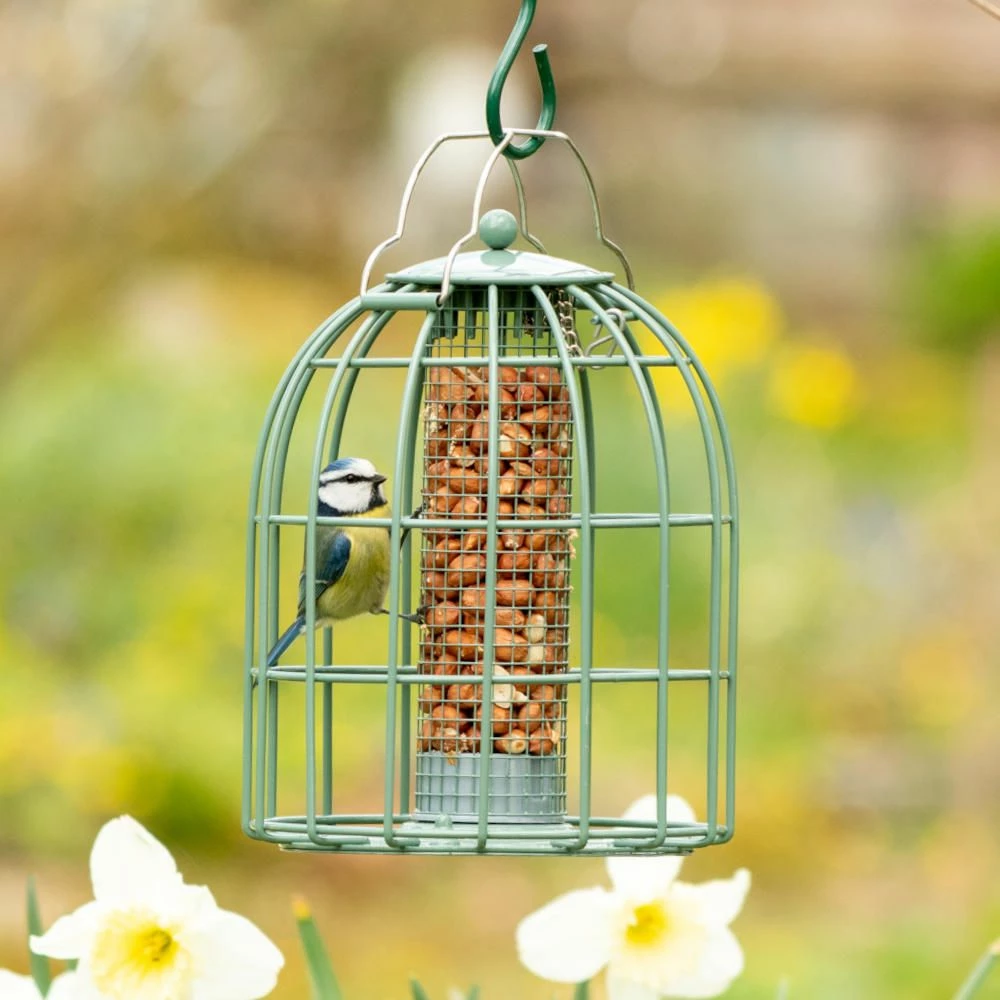Erdnusssäule Mit Schutzkäfig „Compact“ 3 Erdnusssäule Mit Schutzkäfig „Compact“