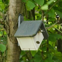 Nistkasten „Zürich“ 32 Mm 7 Nistkasten „Zürich“ 32 Mm -Geflügelbedarf Verkäufe 2024 nistkasten zurich 90781 2 1