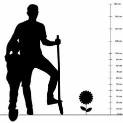Orchideenprimel (Primula Viallii), 8 Stück -Geflügelbedarf Verkäufe 2024 silhouette 40cm 11 1