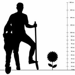 Schokoladen-Minze (Mentha Pip. 'Chocolate'), 4 Stück 7 Schokoladen-Minze (Mentha Pip. 'Chocolate'), 4 Stück -Geflügelbedarf Verkäufe 2024 silhouette 50cm 15 1
